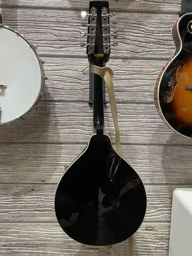 Alabama ALM-20 Mandolin 2